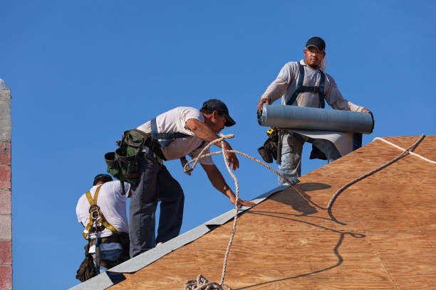 Best Metal Roofing Contractor  in Akron, OH